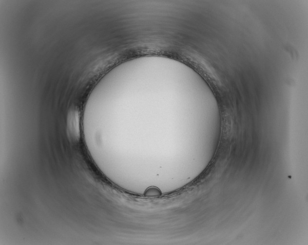 X0000112070022200908251052