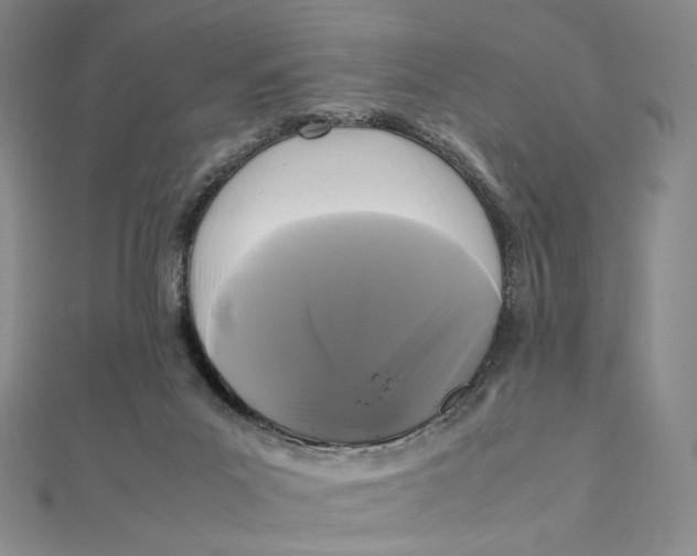 X0000112070023200908251052