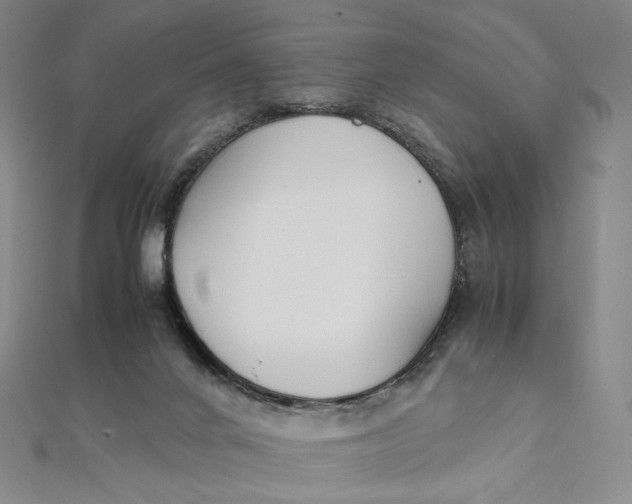 X0000112070024200908251052