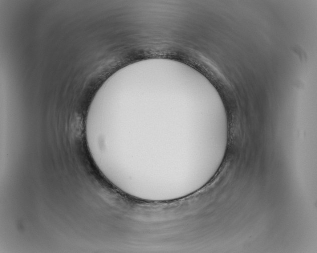 X0000112070025200908251052