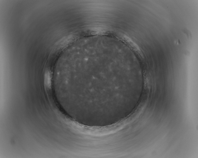X0000112070026200908251052