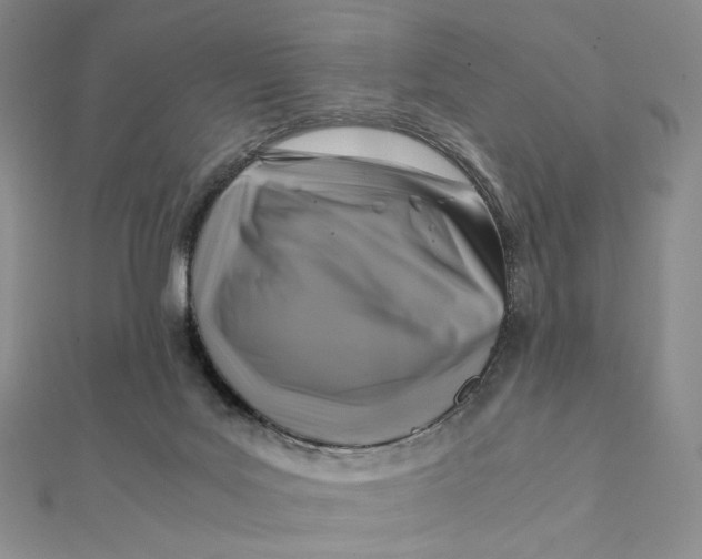 X0000112070027200908251052