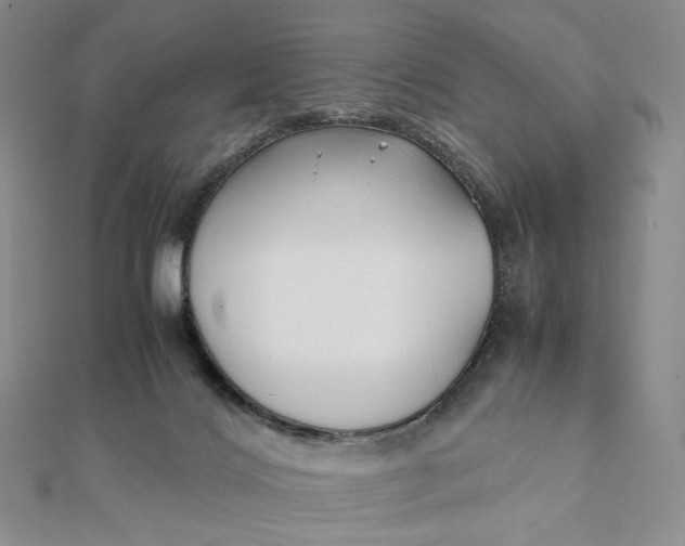 X0000112070028200908251052