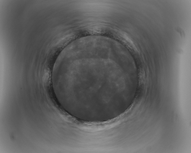 X0000112070029200908251052