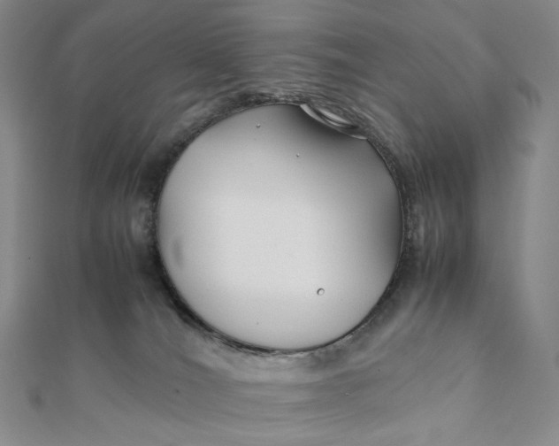 X0000112070036200908251052
