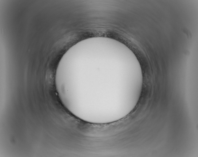 X0000112070037200908251052