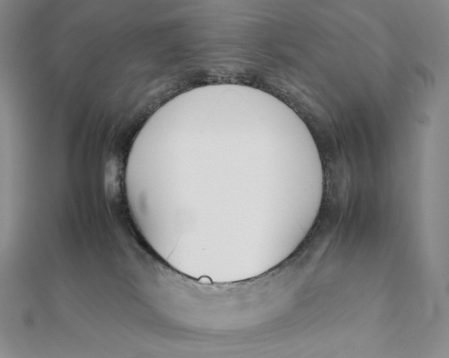 X0000112070038200908251052