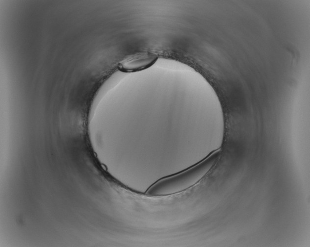 X0000112070039200908251052