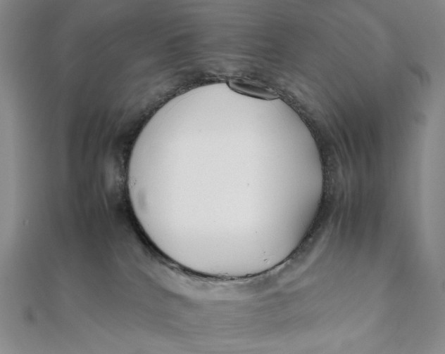 X0000112070040200908251052