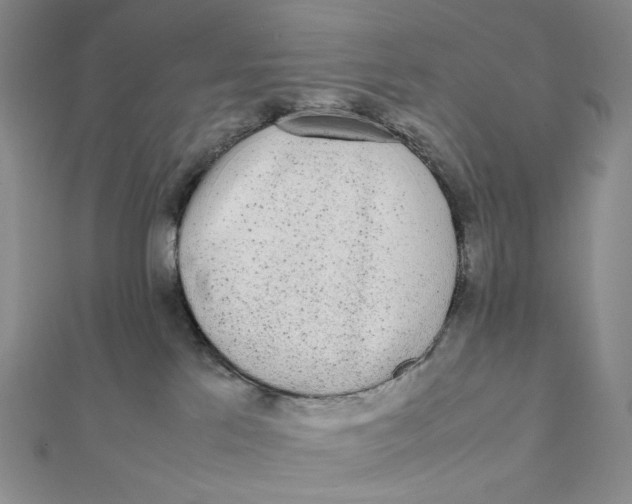 X0000112070041200908251052