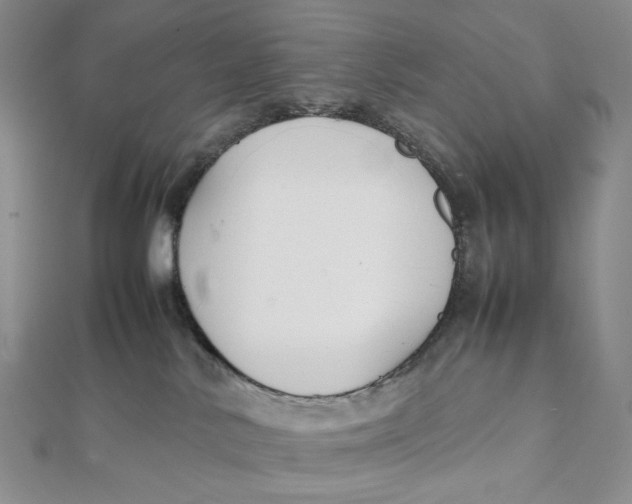 X0000112070042200908251052