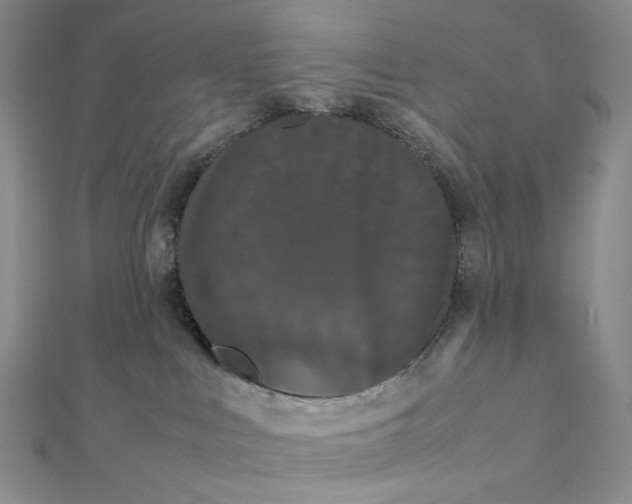 X0000112070043200908251052