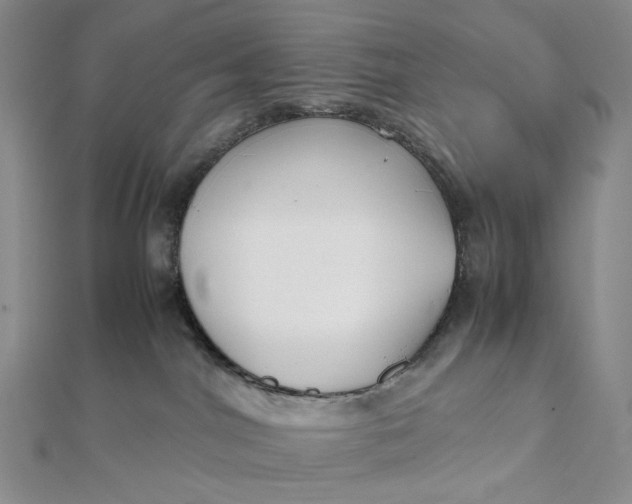 X0000112070044200908251052