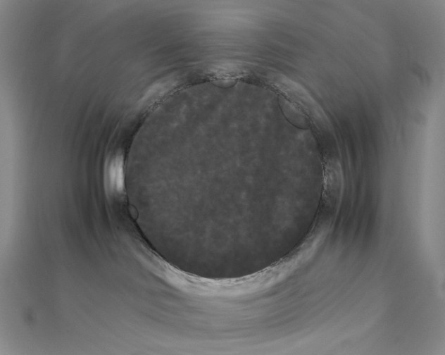 X0000112070046200908251052