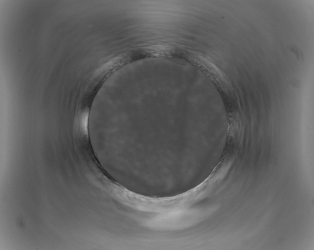 X0000112070047200908251052
