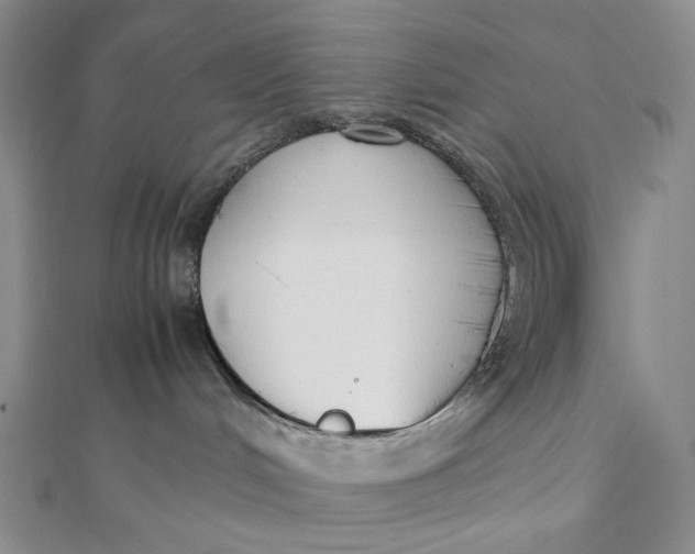 X0000112070048200908251052