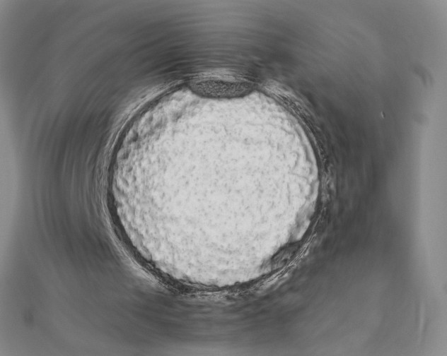 X0000112070049200908251051
