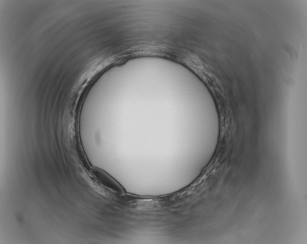 X0000112070050200908251051