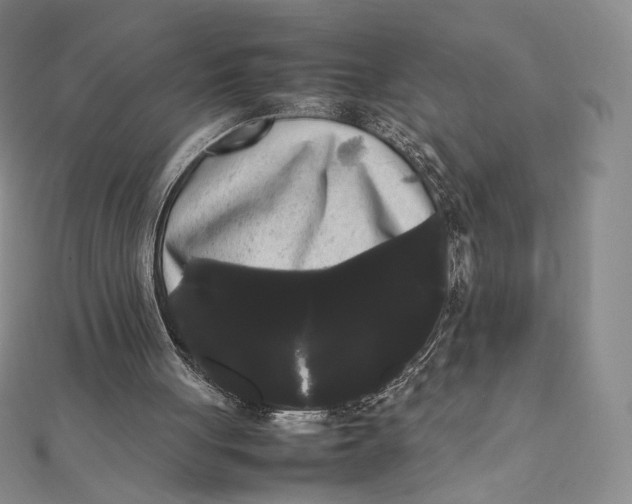 X0000112070051200908251051