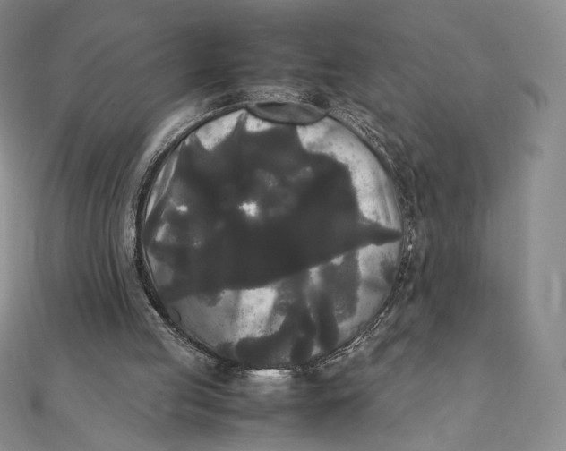 X0000112070053200908251051