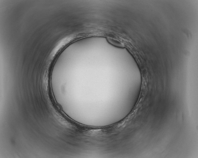 X0000112070054200908251051