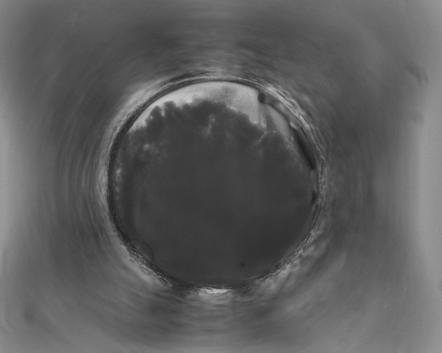 X0000112070055200908251051