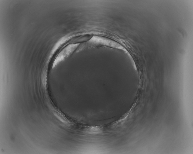 X0000112070056200908251051