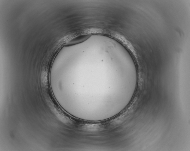 X0000112070057200908251051