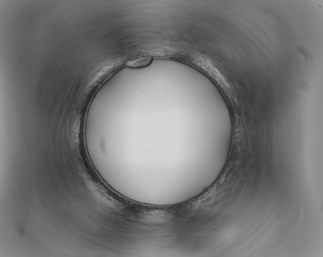 X0000112070058200908251051