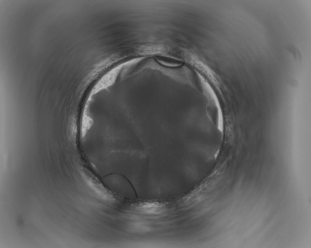 X0000112070059200908251051