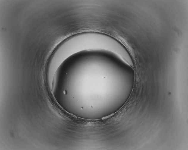 X0000112070060200908251051