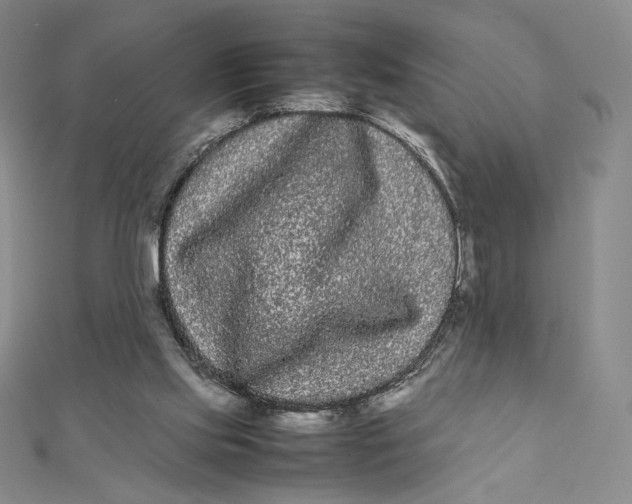 X0000112070061200908251051