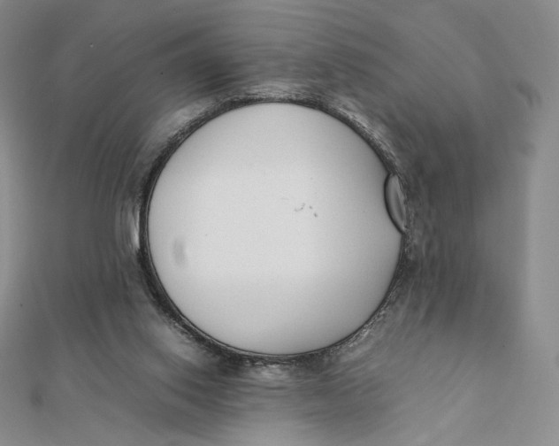 X0000112070062200908251051