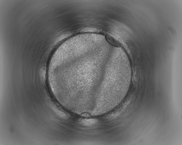 X0000112070063200908251051