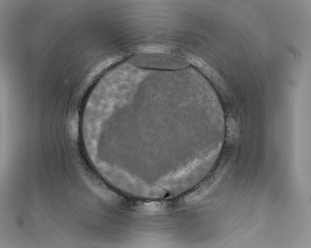 X0000112070064200908251051