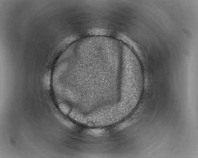 X0000112070065200908251051