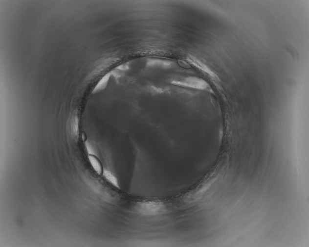 X0000112070067200908251052