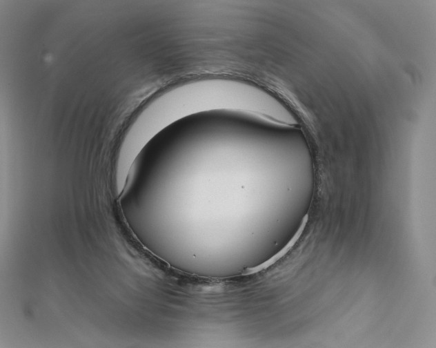 X0000112070068200908251052