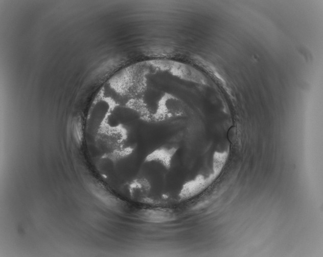 X0000112070069200908251052
