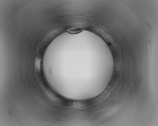 X0000112070070200908251052