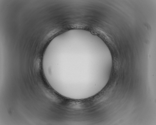X0000112070071200908251052