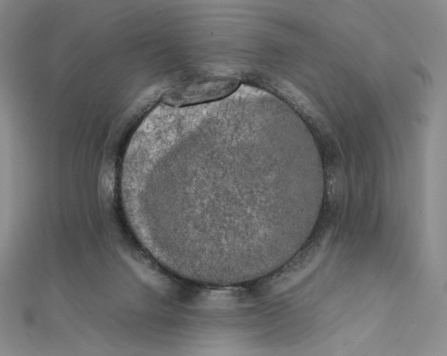 X0000112070072200908251052