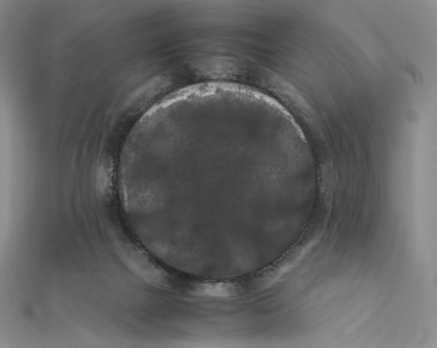 X0000112070073200908251052