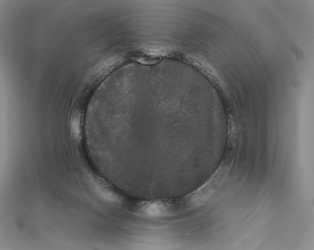 X0000112070074200908251052