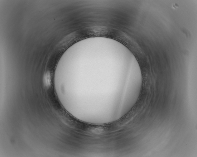 X0000112070075200908251052