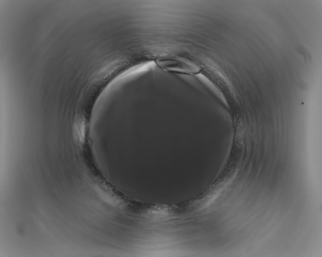 X0000112070076200908251052