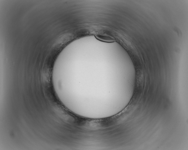 X0000112070078200908251052