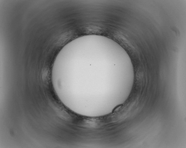 X0000112070079200908251052