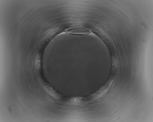 X0000112070080200908251052