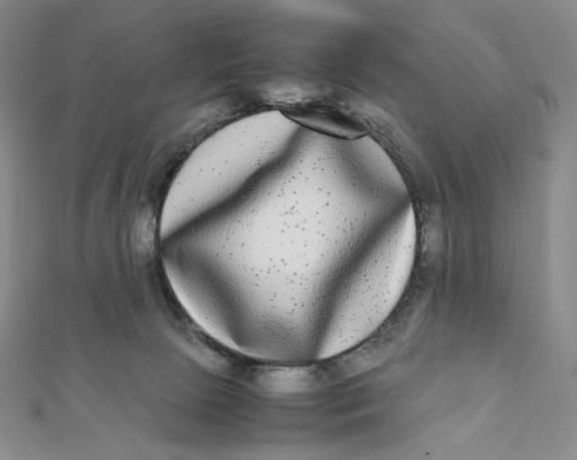 X0000112070081200908251052